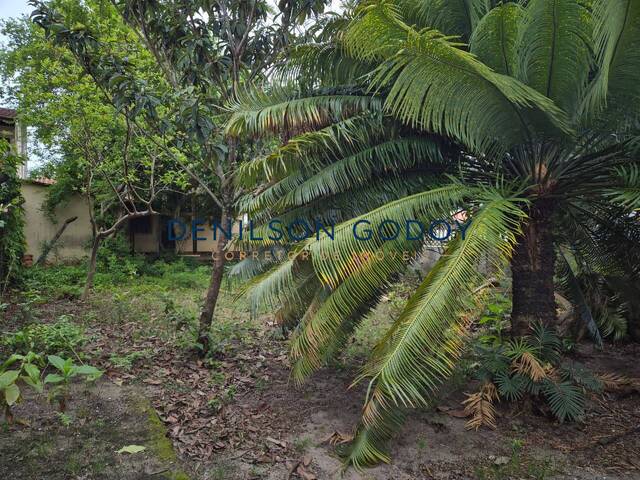 Edícula para Venda em Caraguatatuba - 5