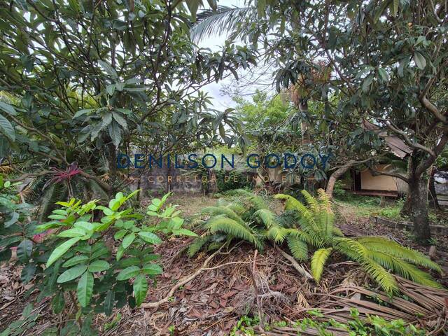 Edícula para Venda em Caraguatatuba - 4